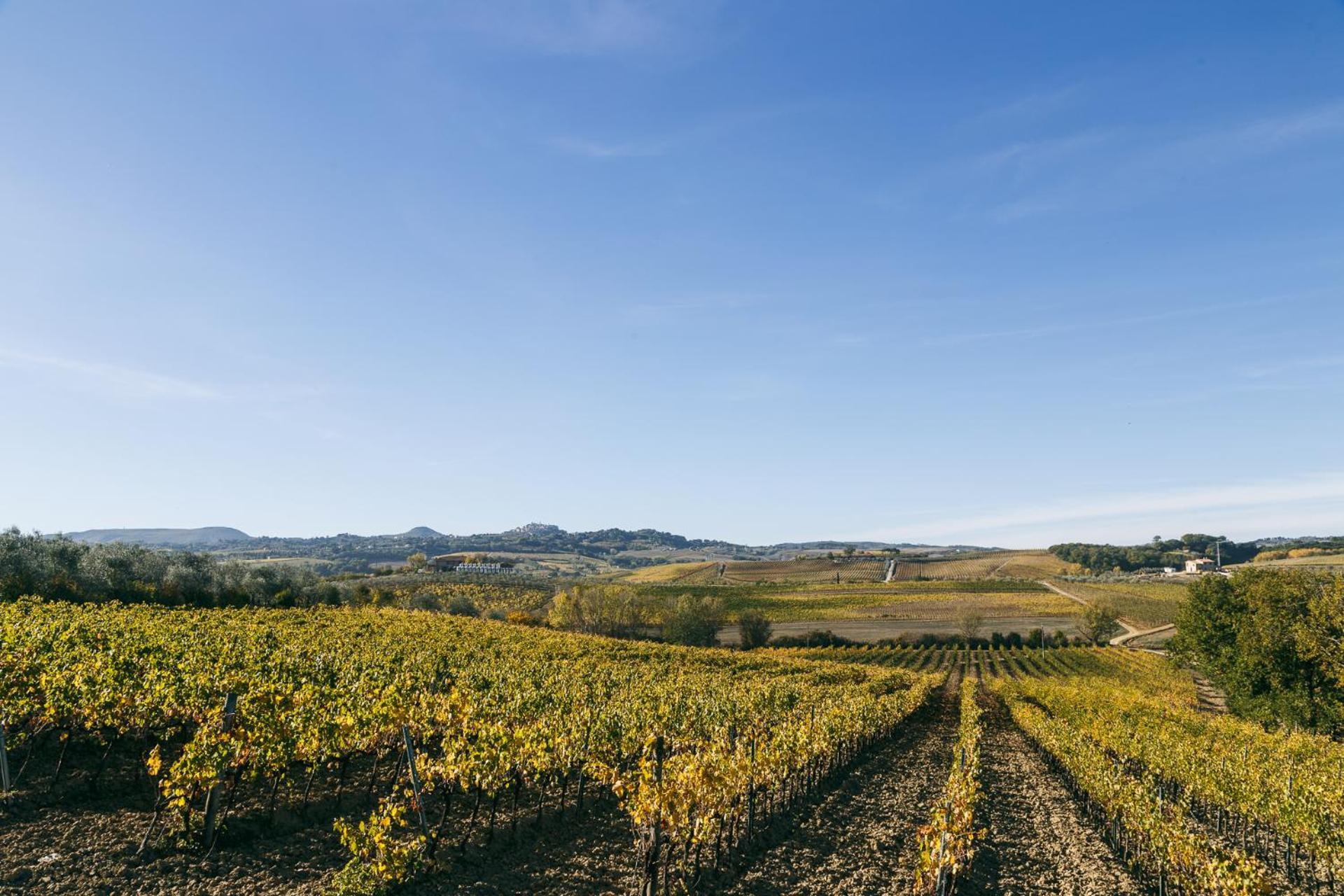 Bed and Breakfast L'Orto Di Panza Abbadia di Montepulciano Zewnętrze zdjęcie