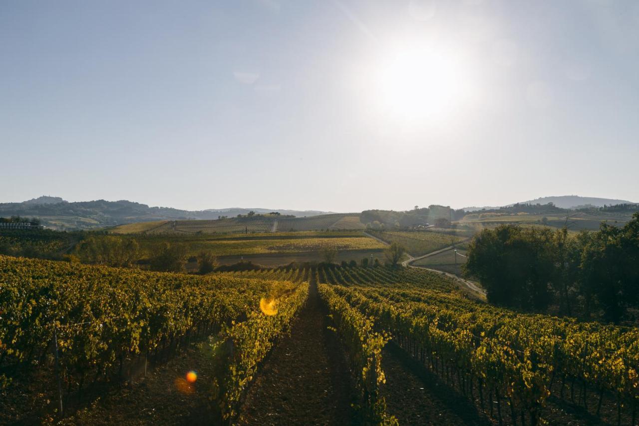 Bed and Breakfast L'Orto Di Panza Abbadia di Montepulciano Zewnętrze zdjęcie
